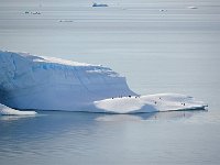 Antartica 南极22