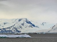 Antartica 南极225