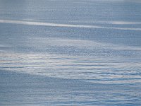 Antartica 南极227