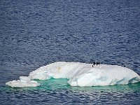 Antartica 南极23
