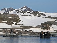 Antartica 南极230