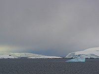 Antartica 南极231