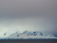 Antartica 南极235