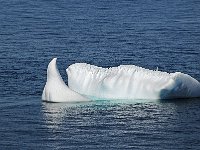 Antartica 南极236