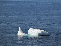 Antartica 南极237
