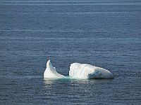Antartica 南极238