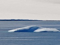 Antartica 南极239
