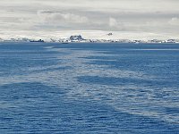 Antartica 南极244