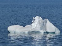 Antartica 南极249
