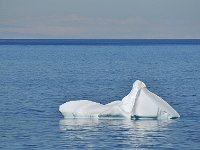 Antartica 南极250