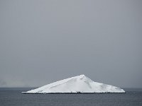 Antartica 南极256