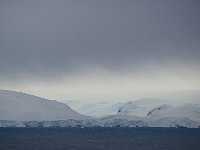 Antartica 南极259