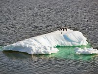 Antartica 南极26