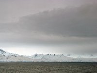 Antartica 南极260