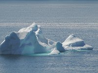 Antartica 南极265