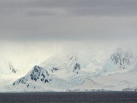 Antartica 南极266