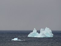 Antartica 南极269