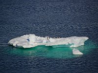 Antartica 南极27