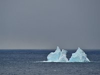 Antartica 南极271
