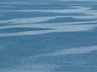Antartica 南极287