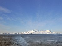 Antartica 南极288