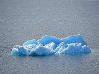 Antartica 南极29