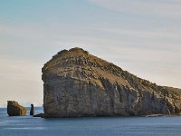 Antartica 南极290