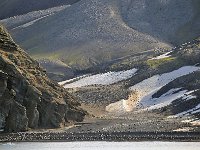 Antartica 南极291