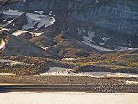 Antartica 南极292