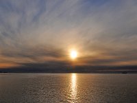 Antartica 南极305