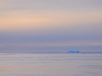 Antartica 南极307