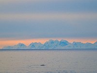 Antartica 南极308