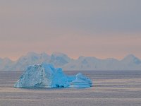 Antartica 南极311