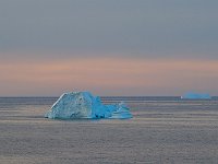 Antartica 南极312