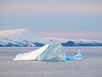 Antartica 南极316