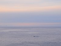 Antartica 南极317