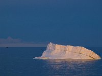 Antartica 南极326