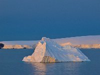 Antartica 南极327