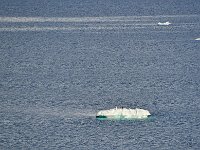 Antartica 南极33