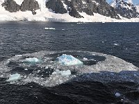 Antartica 南极330