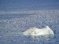 Antartica 南极36