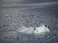 Antartica 南极37