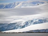 Antartica 南极47