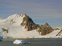 Antartica 南极50