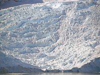 Antartica 南极54