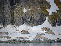 Antartica 南极62