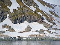 Antartica 南极63