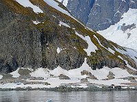 Antartica 南极68