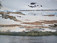 Antartica 南极70