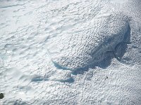 Antartica 南极80